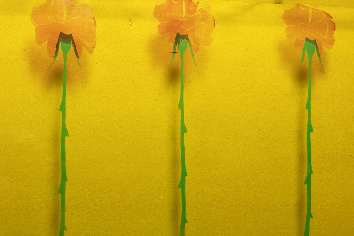 Gino Marotta - Fiori artificiali, inchiostro serigrafico su plexiglass