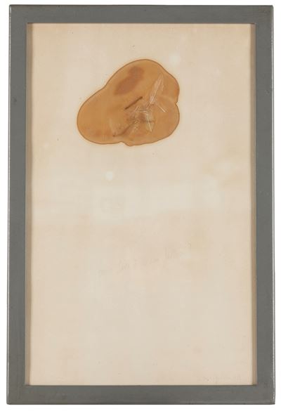 Dal Sogno di Icaro
