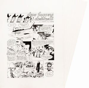 Dove fuggono i cammelli