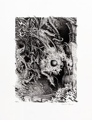 Magic in the Shadows