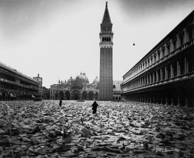 Venezia Vive Piazza San Marco