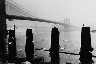Senza Titolo (new York Ponte di Brooklin)