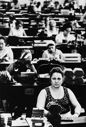 Havana, Fabbrica di sigari