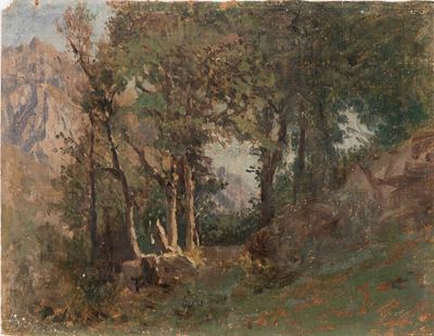 Paesaggio Alpestre