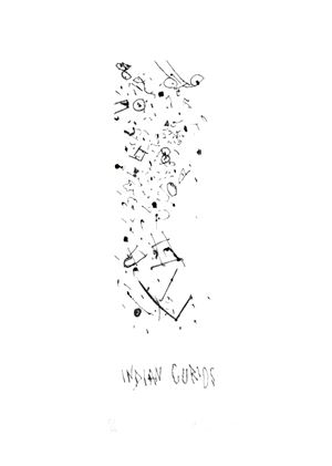 Novelli Gastone - Indian curios