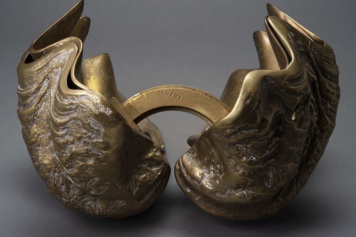 Rotella gigantea, scultura apribile in bronzo