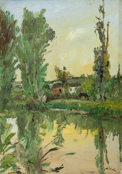 Riflessi in un Laghetto di Campagna