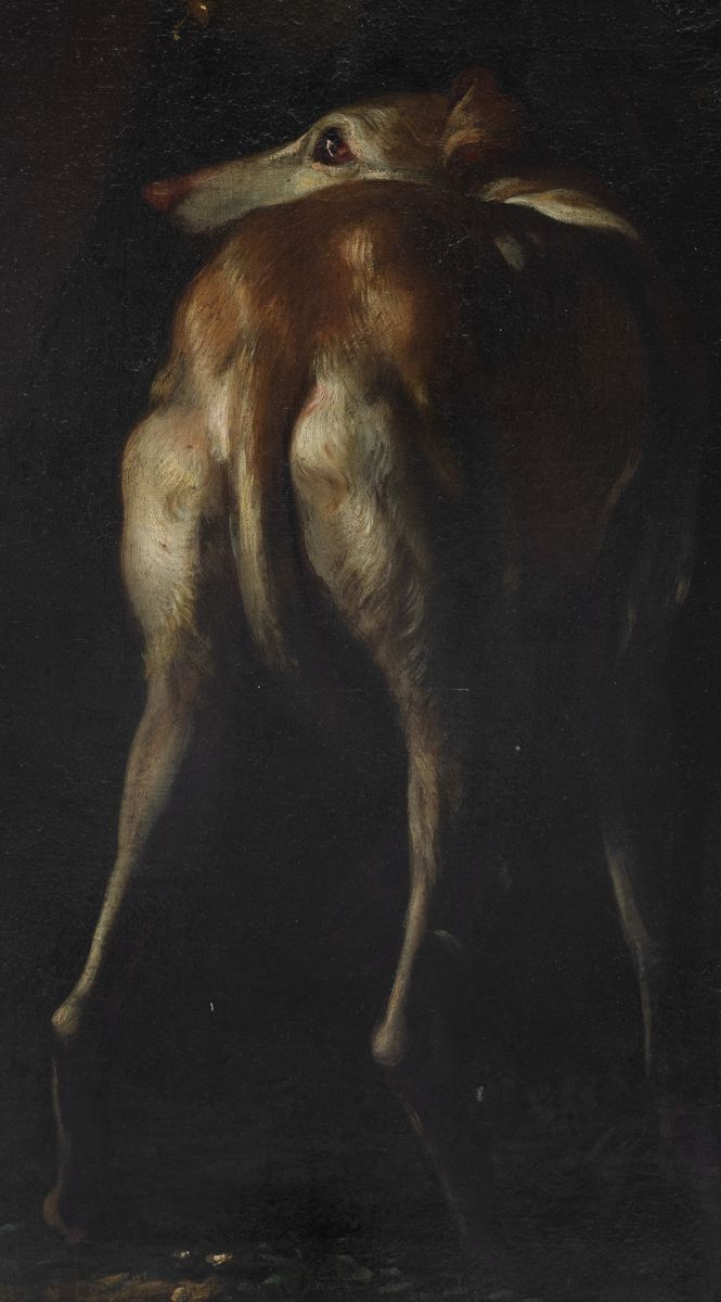 Domenico Parodi - Adone, olio su tela, cm 191 x 123