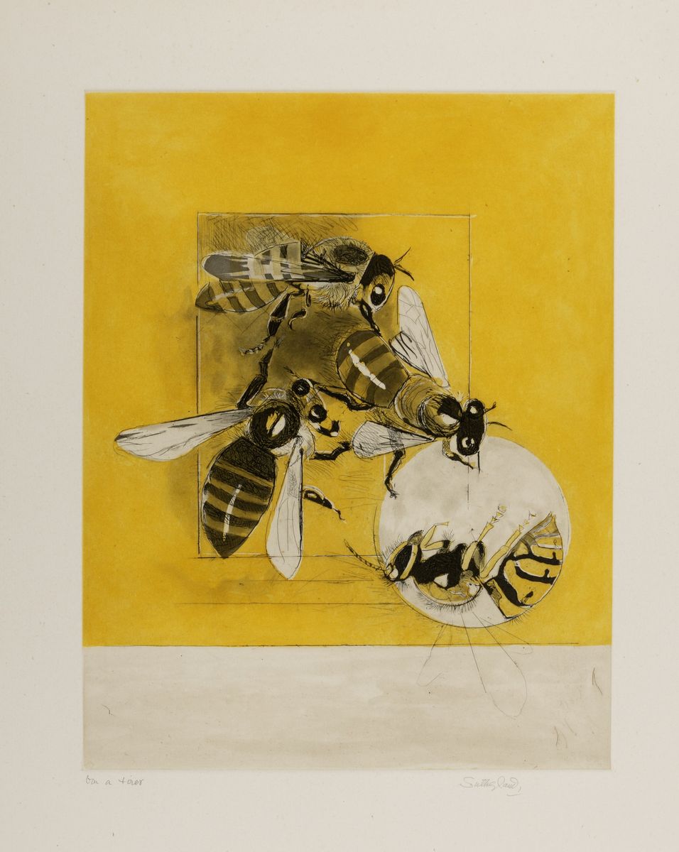 Graham Sutherland - Bees Suite