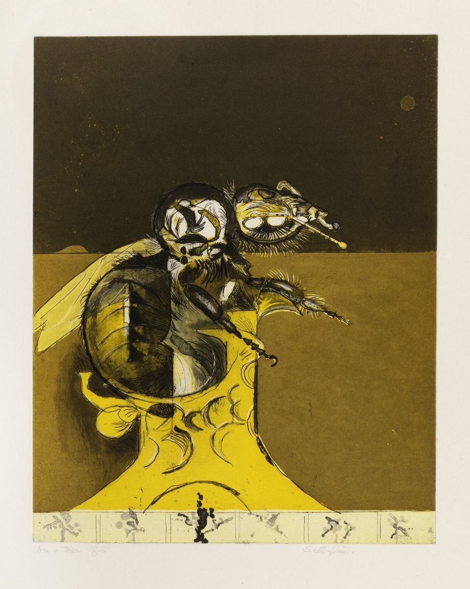 Graham Sutherland - Bees Suite