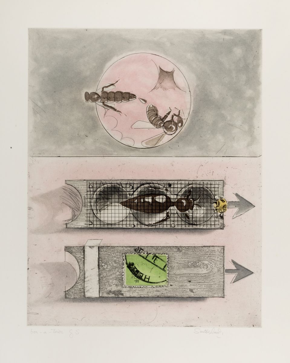 Graham Sutherland - Bees Suite