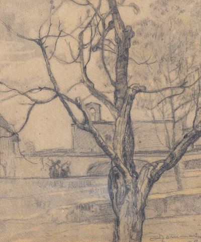 Albero, grafite su carta