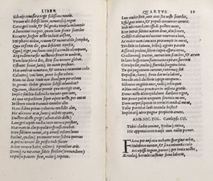 Silio Italico Tiberio Cazio Asconio  ,   -  Opus de bello Punico secundo summa cura Ambrosij Nicandri castigatum, restitutis multis carminibus quæ in alijs desyderantur