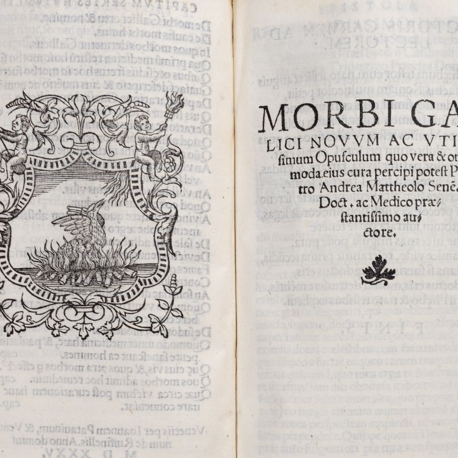 Leoniceno Niccolò - Liber de morbo gallico - importante collezione sulla sifilide
