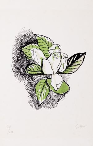 Guttuso Renato - Rosa bianca