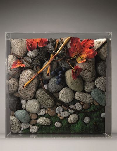 Greto alla vigna, poliuretano espanso in teca di plexiglas