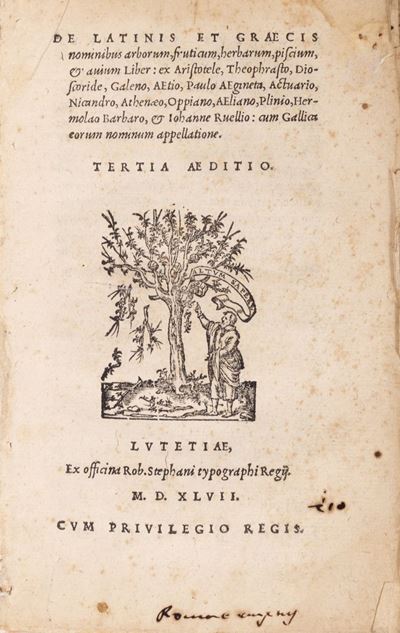 De Latinis et Graecis nominibus arborum, fruticum, herbarum, piscium, & auium liber
