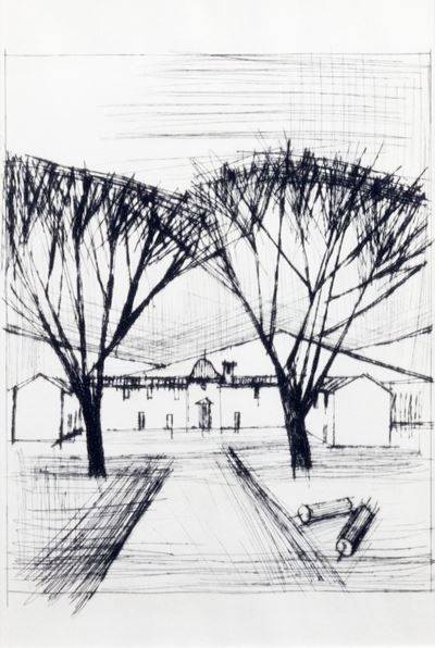 Naples - Alberi