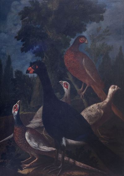 Paesaggio boschivo con fagiani e pernici, olio su tela