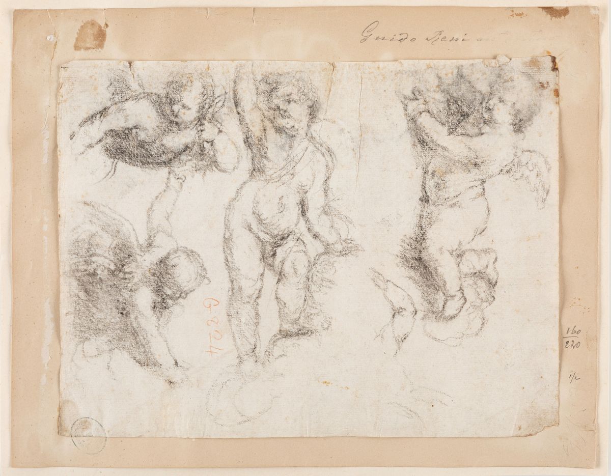 Scuola Bolognese, Putto; Scuola Emiliana, Studio di putti; Guido Reni, Tre putti con vassoio