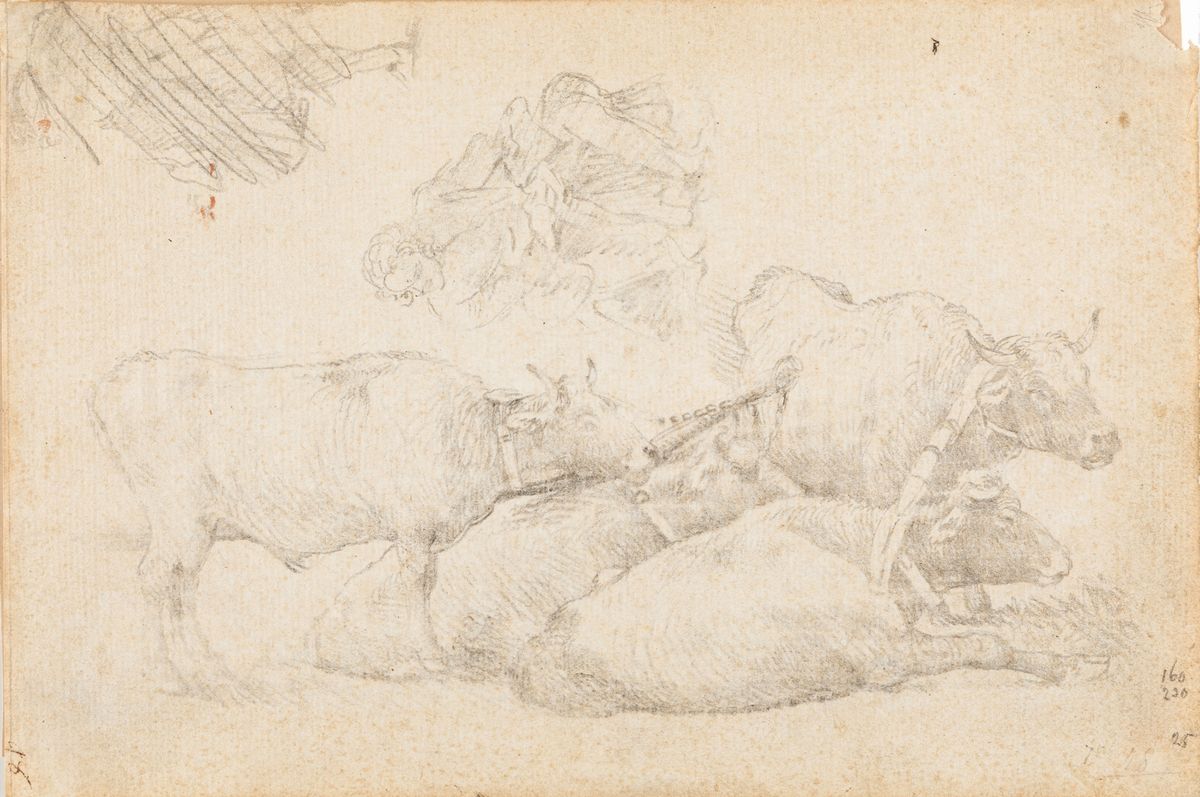 Scuola del XVII - XVIII secolo, Lotto composto da sette disegni