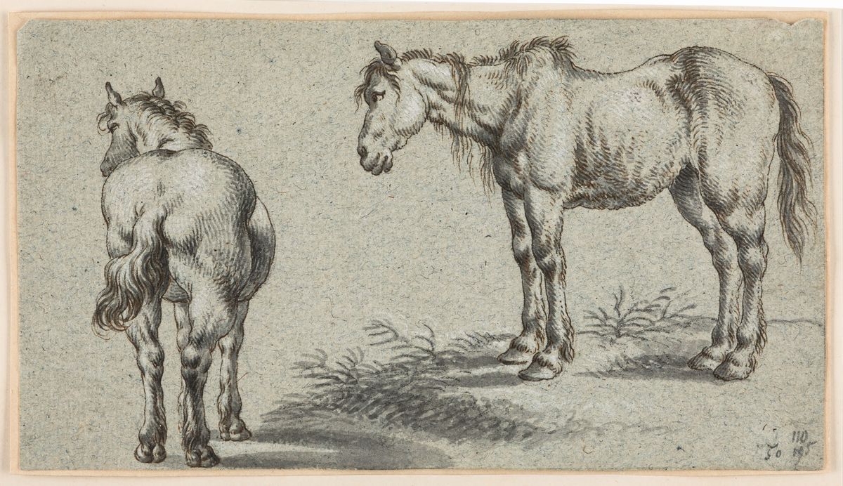 Scuola del XVII - XVIII secolo, Lotto composto da sette disegni