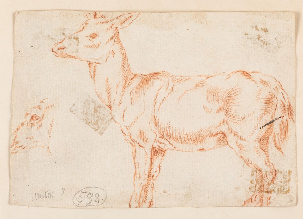 Scuola del XVII - XVIII secolo, Lotto composto da sette disegni