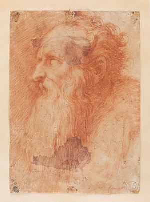 Profilo di testa virile