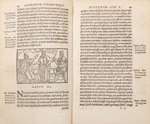 Gothorum Sveonum & que historia, ex probatis antiquorum monuments collecta