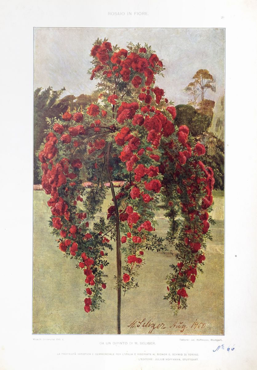 Modelli d'arte decorativa, 84 tavole decorative e 14 acquerelli di Fernando Gualtieri