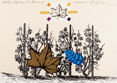 Dalla Vigna di Fernand Crescono Foglie