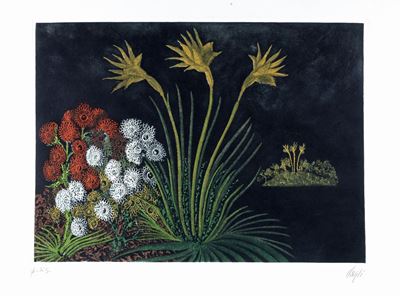 Fiori