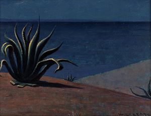 Agave in Calabria