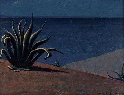 Agave in Calabria, olio su masonite