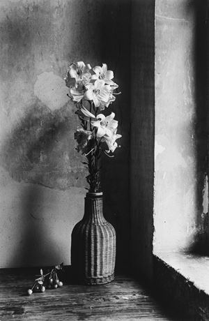 Le lys Annonciation, from the series "Portfolio n. II"