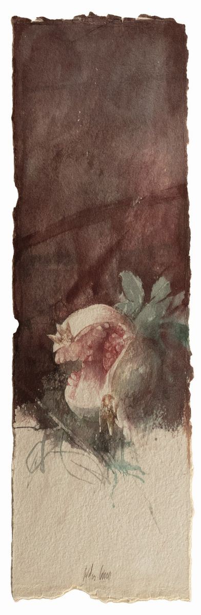 Melograno rosso, acquarello su carta