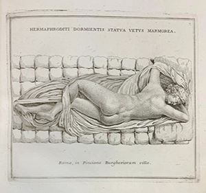 Magnan, Dominique - Elegantiores statuae antiquae, in variis romanorum palatiis asservate
