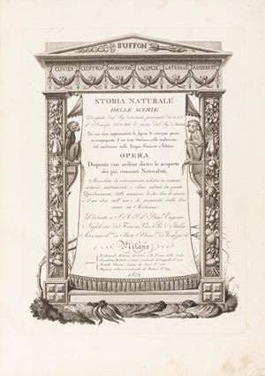 Jacob, Nicolas Henri - Hugues, Pietro - Storia naturale delle scimie disegnate dal sig.r N.H. Jacob...ed incise dal sig.r L. Rados