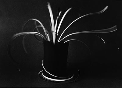 Ikebana Occidentale