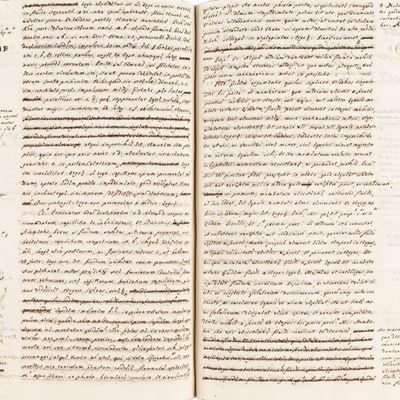 Manoscritto anonimo, Studi manuscritti di Fisica Meccanica, Geometria e Storia Naturale