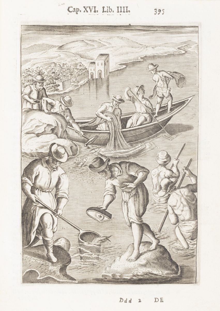 Raimondi, Eugenio - Raimondi, Delle caccie – Terza edizione con incisioni