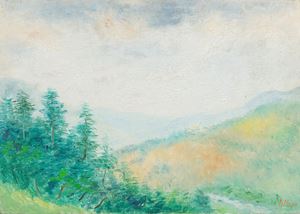 Vallata del Parma a Corniglio