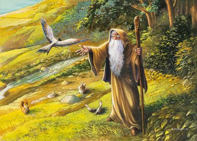 Radagast il Mago
