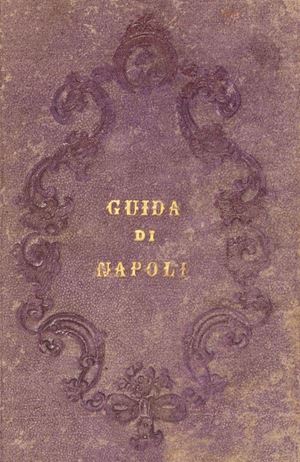 Carlo Tito Dalbono - Nuova guida di Napoli e dintorni (sistema misto)
