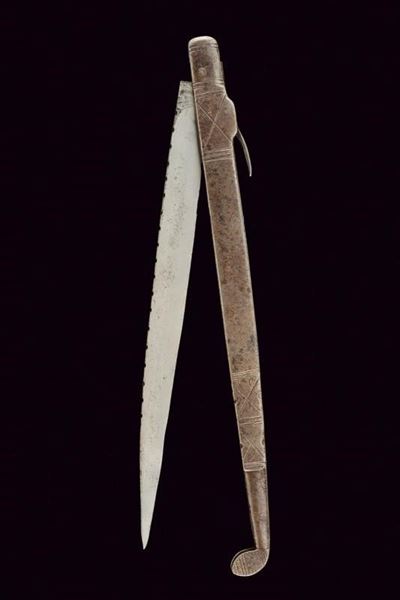 Lungo e Raro Coltello Pieghevole