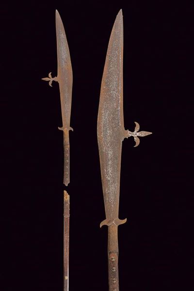 Falcione