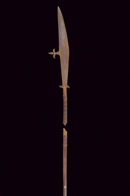 Falcione