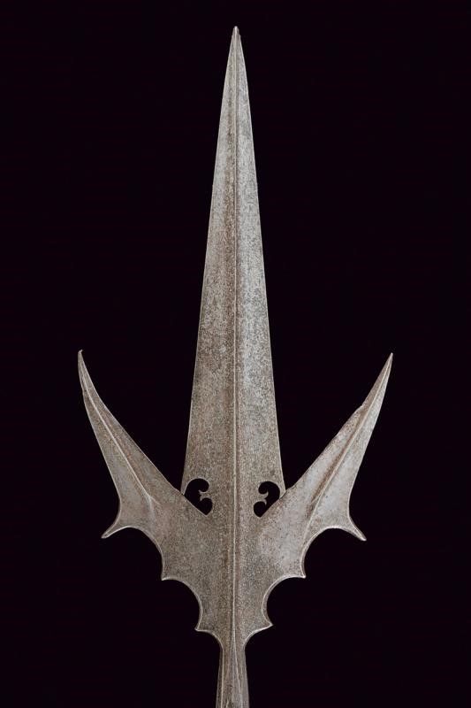 Corsesca a Pipistrello