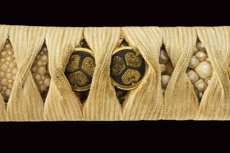 Bel Wakizashi di Tadamitsu