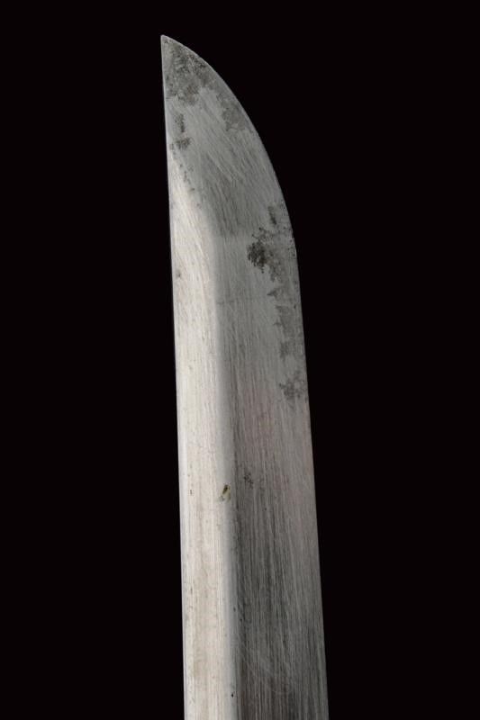 Bel Wakizashi di Tadamitsu